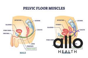 Premature Ejaculation Exercises