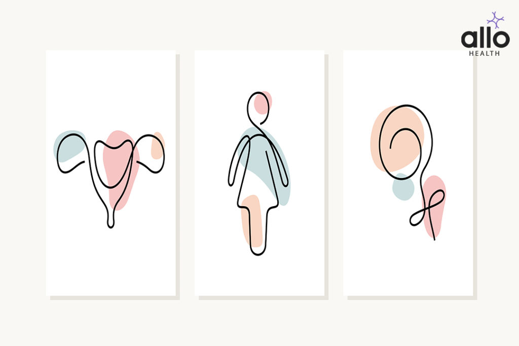 Dyspareunia Causes 1 Physical Causes Of Dyspareunia