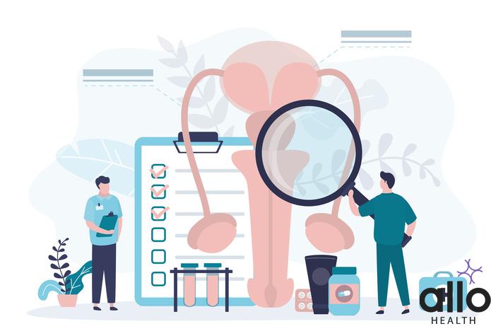 What is Andrology? Urologist examines male genitourinary system. Diagnosis of prostatitis or sexual dysfunction. Andrologist engaged in prevention and treatment of diseases of reproductive system. Vector illustration