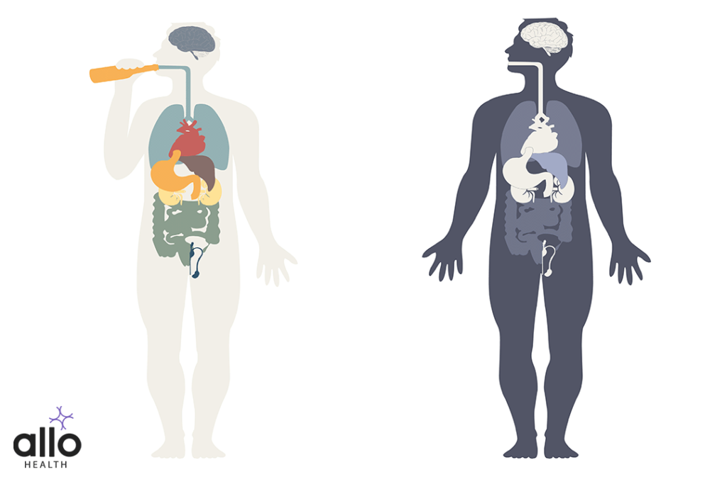 human body parts affected due to alcohol