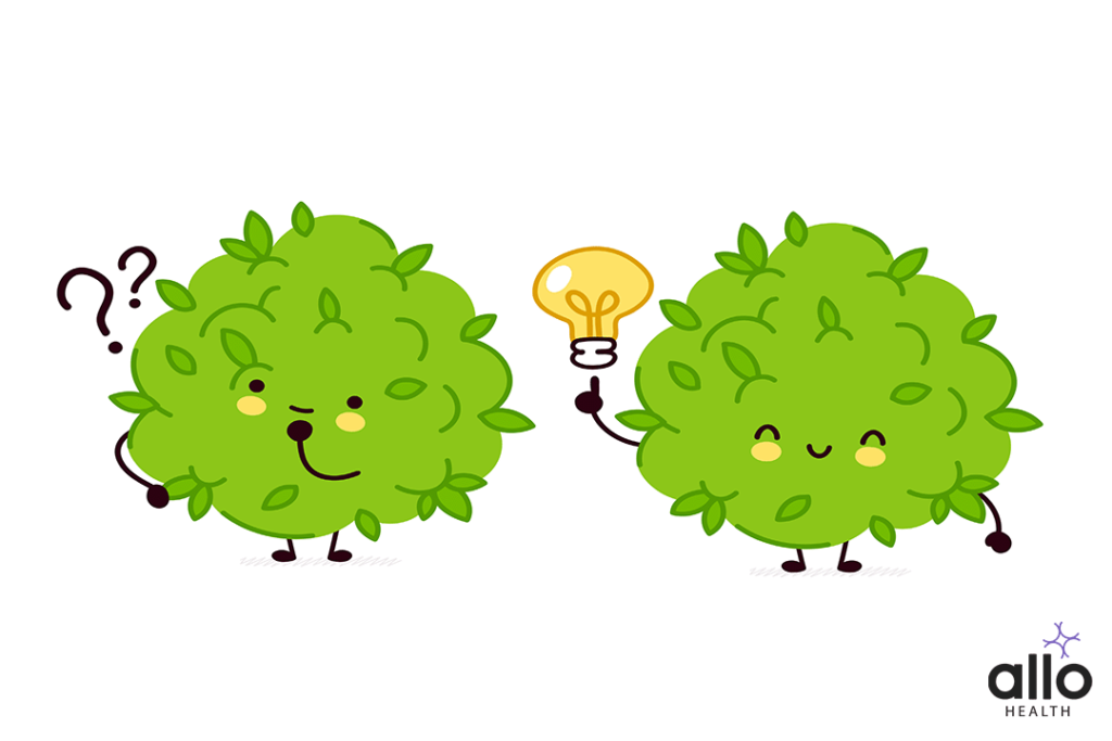 Cannabis Addiction And Sexual Dysfunction 1 marijuana weed bud character with question "How Does Cannabis Affect The Body?"