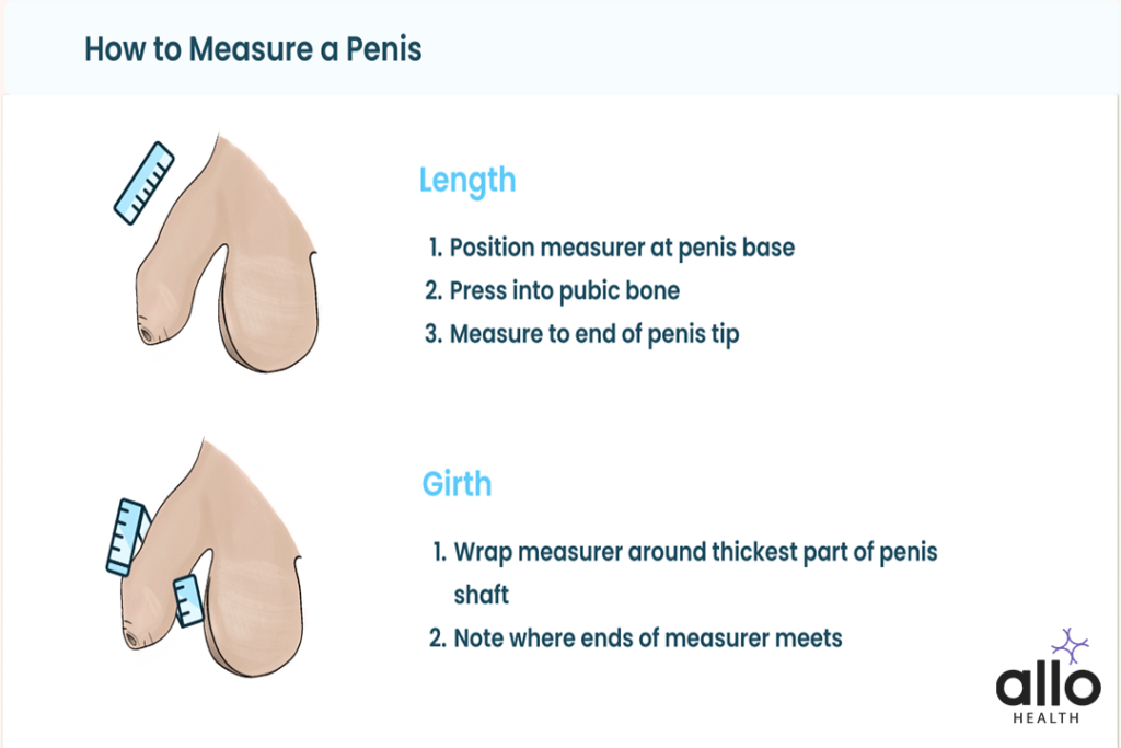 How to measure penis thickness