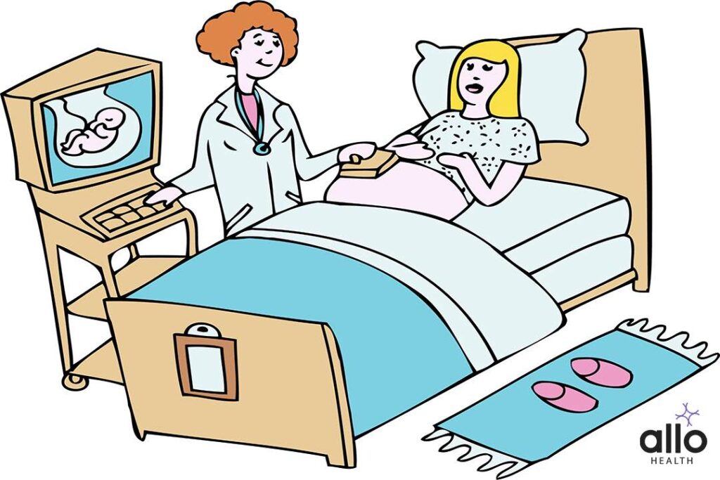 Anejaculation And Fertility