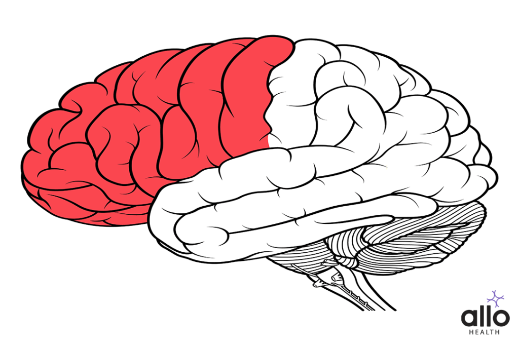 Frontal Lobe Damage in brain