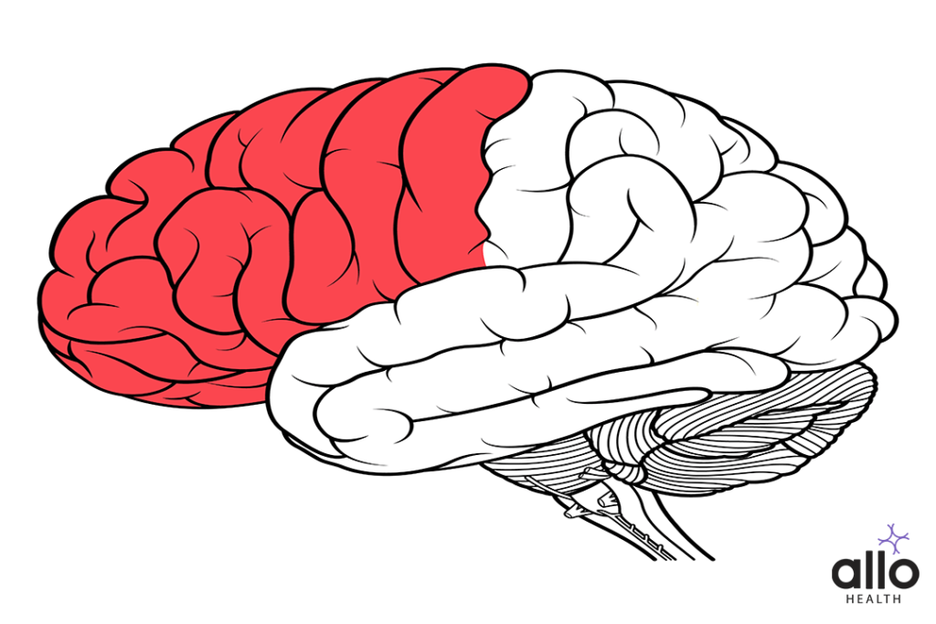 Sex Addiction Causes 2 Frontal Lobe Damage in brain