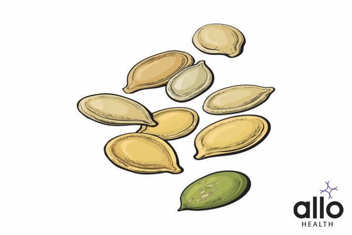 Whole and peeled pumpkin seeds, vector illustration isolated on white background. Drawing of pumpkin seeds on white background

Does Pumpkin Seeds Have Natural Viagra Benefits?