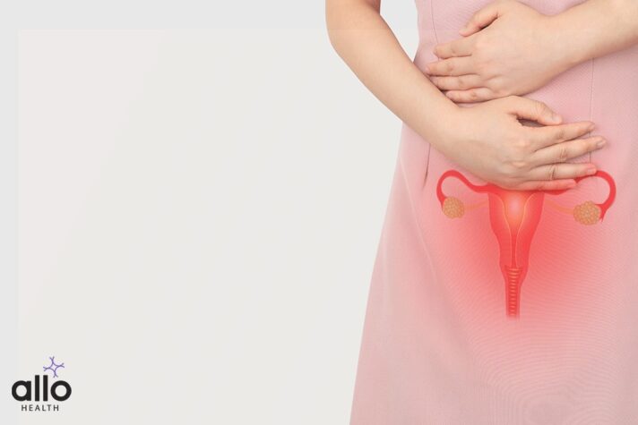 dilators vulvodynia vulvodynia faqs