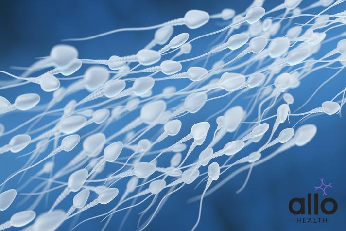 does having sex everyday decrease your sperm count. sperm cramps meaning in hindi, ejaculation in vagina