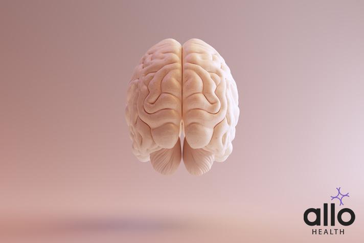 Aging And Sexual Health: Resources And Support 2 psychology of porn How To Reverse The Effects Of Porn?, Aging And Sexual Health: Resources And Support