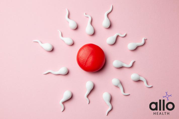Does Masturbation Reduce Sperm Count? Understanding The Link Between Watery Sperm and Premature Ejaculation Erectile Dysfunction Medications And Azoospermia Treatment