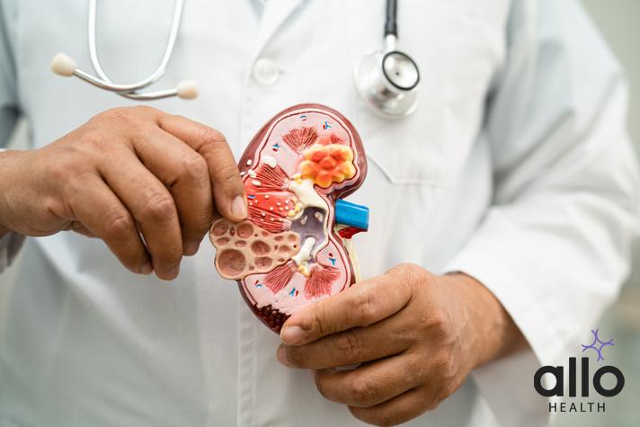 Nephrologist vs. Urologist: What's The Difference? Effects of Tadalafil 

RIRS Surgery, Kidney Stones And Erectile Dysfunction