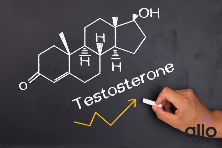 erectile dysfunction and testosterone, testosterone food vegetarian