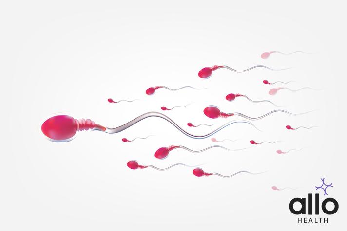 Semen Culture Test: How Does It Help With Sexual Health? Blood In Semen After Masturbation
Increase Semen Volume