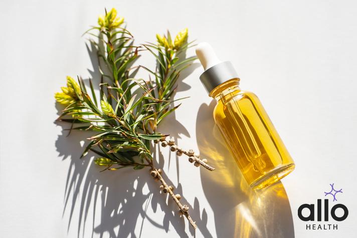 Can You Put Tea Tree Oil On Your Penis? stay on oil use in hindi, ling bada karne ka gharelu upay
